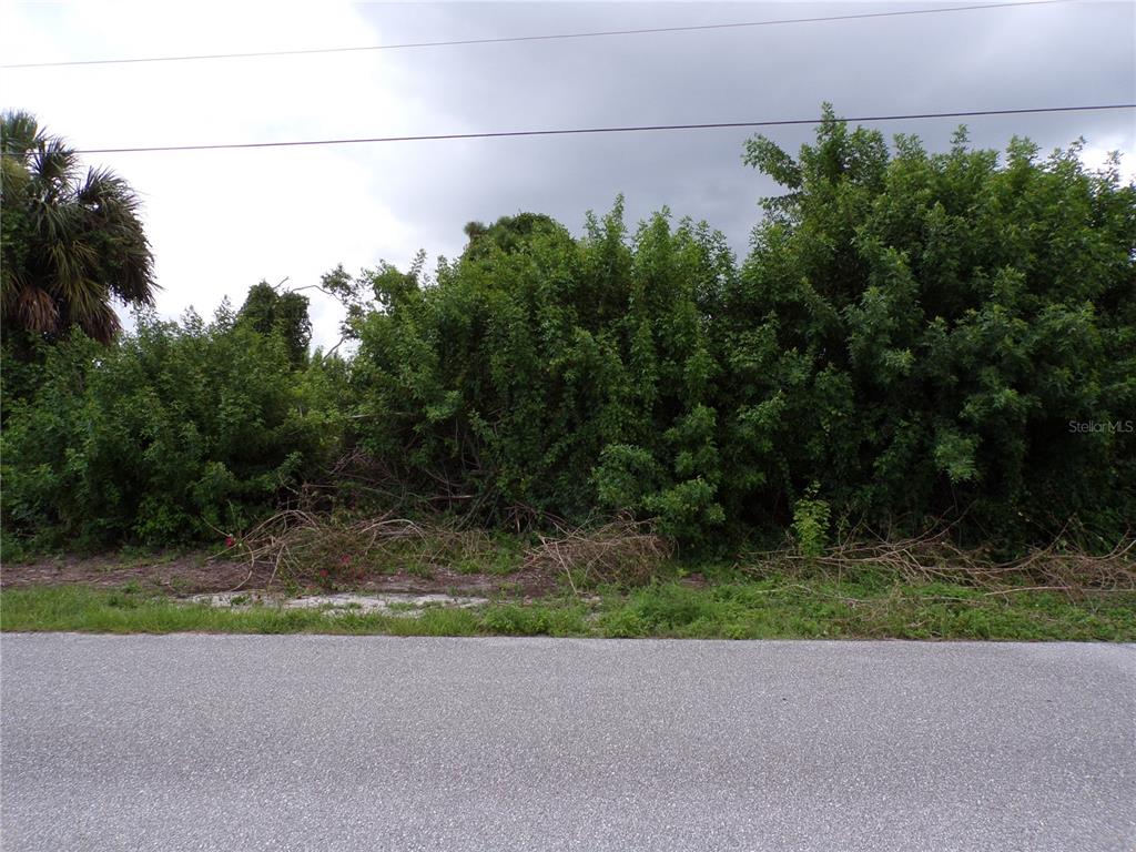 a view of a street with a small yard and large trees