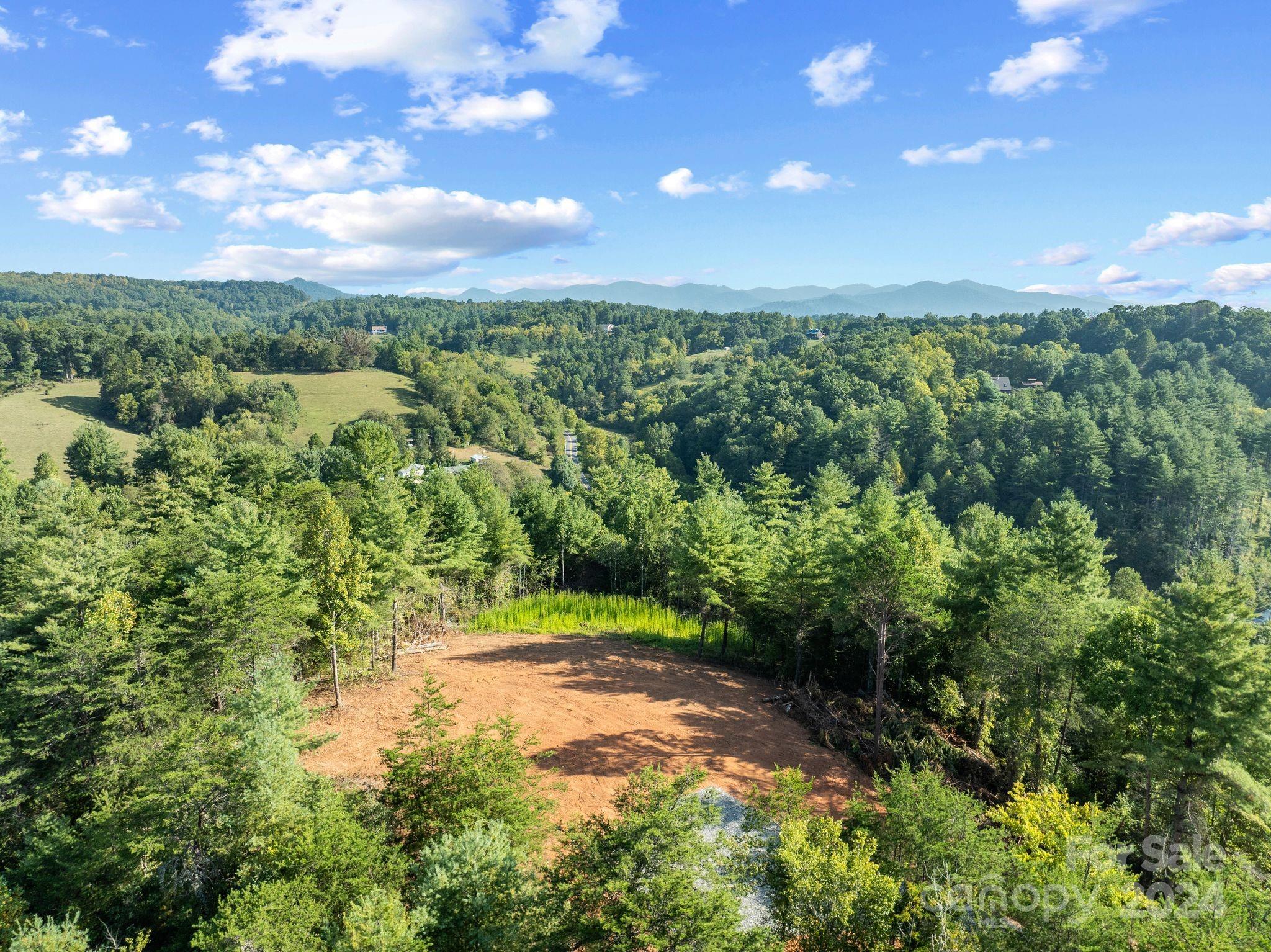 a view of a city with lush green forest