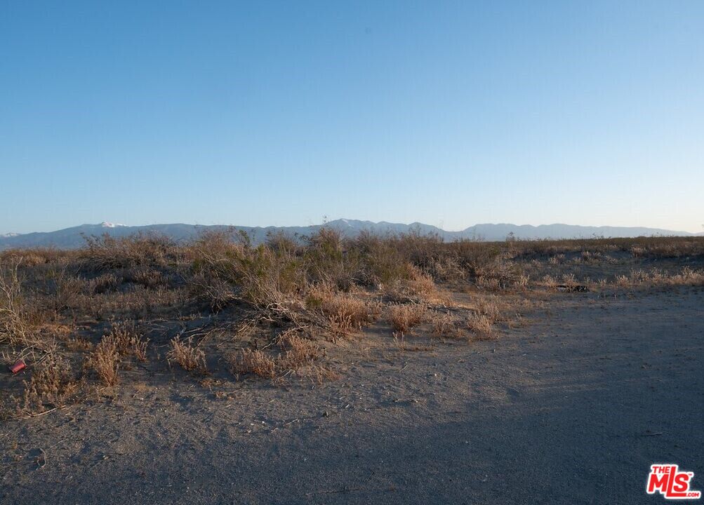 a view of a dry yard with green space