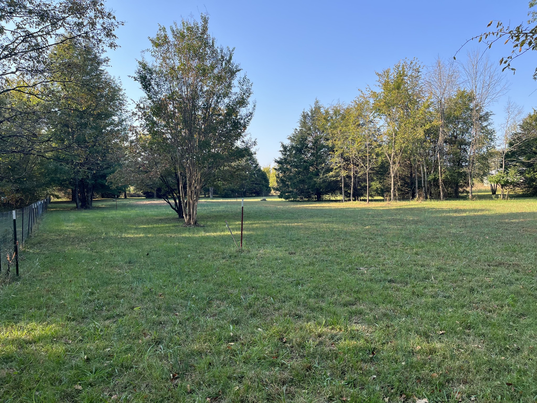 a view of a park with trees in the background