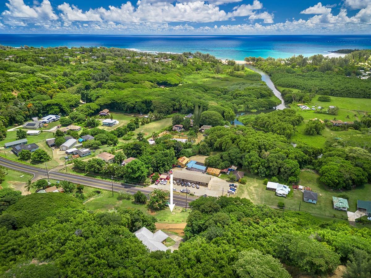 a view of a garden with an ocean