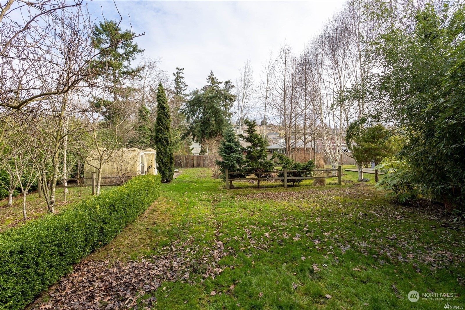 a view of a garden with trees