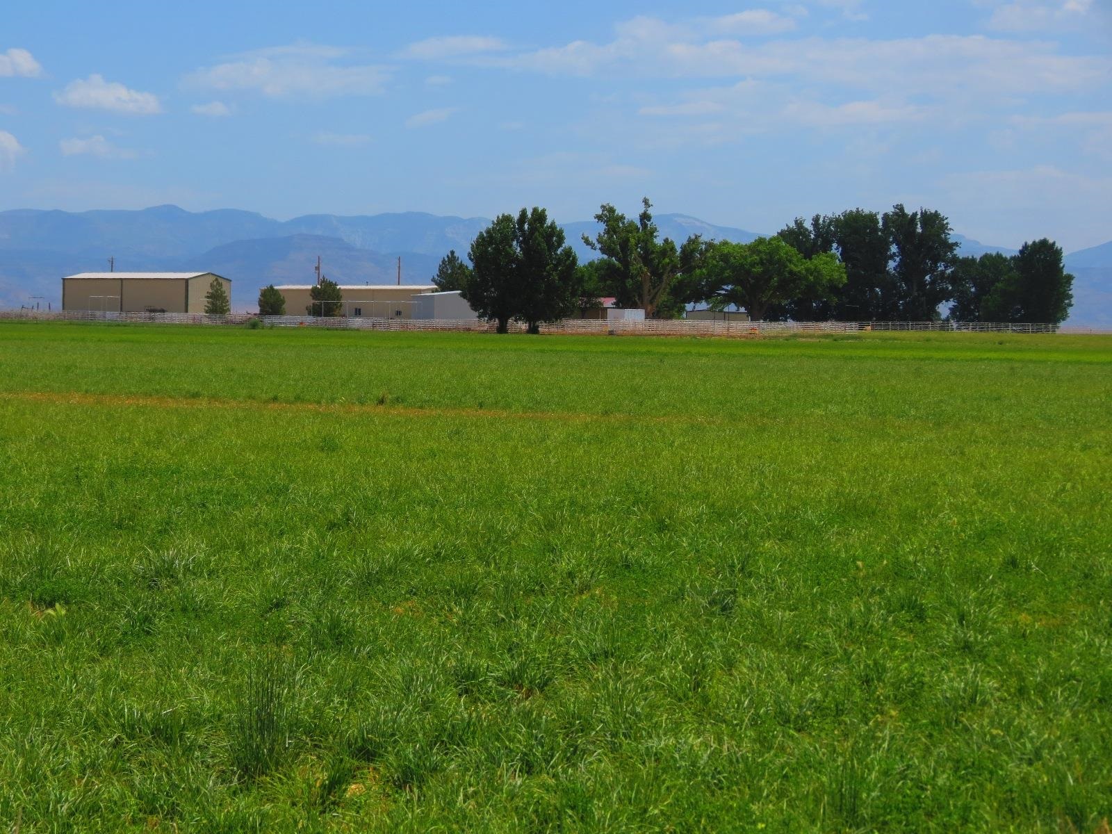 a view of a garden with a building in the background