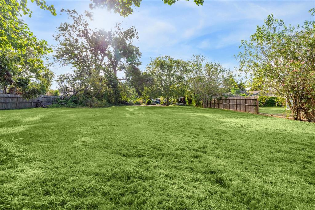 a view of a park with large trees