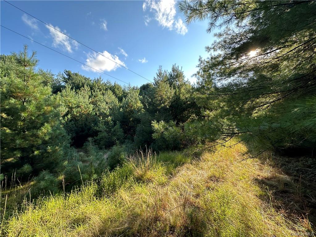 a view of lake background with a yard