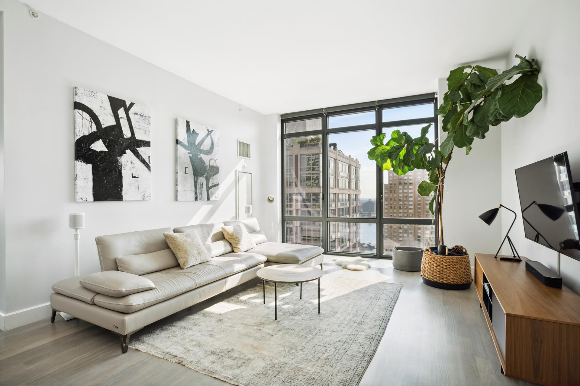 a living room with furniture and a potted plant