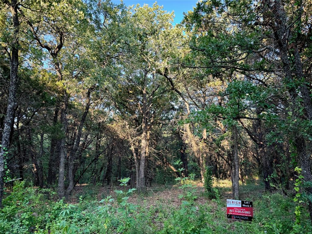 a green field with lots of trees