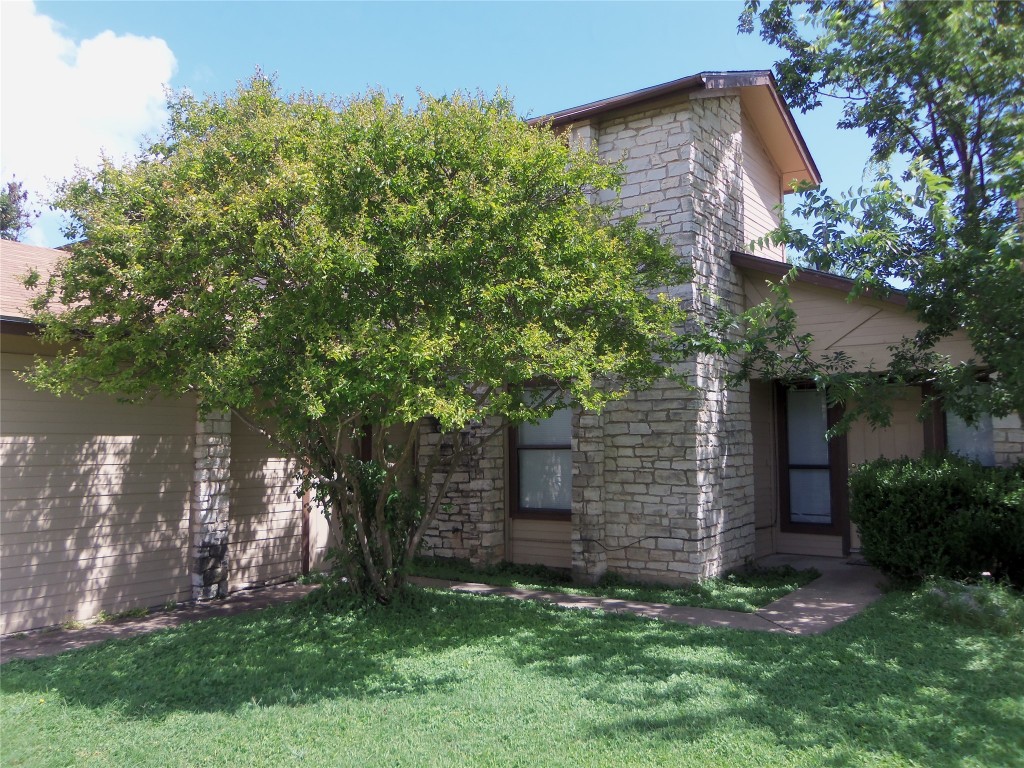 a view of a backyard with plants and large tree