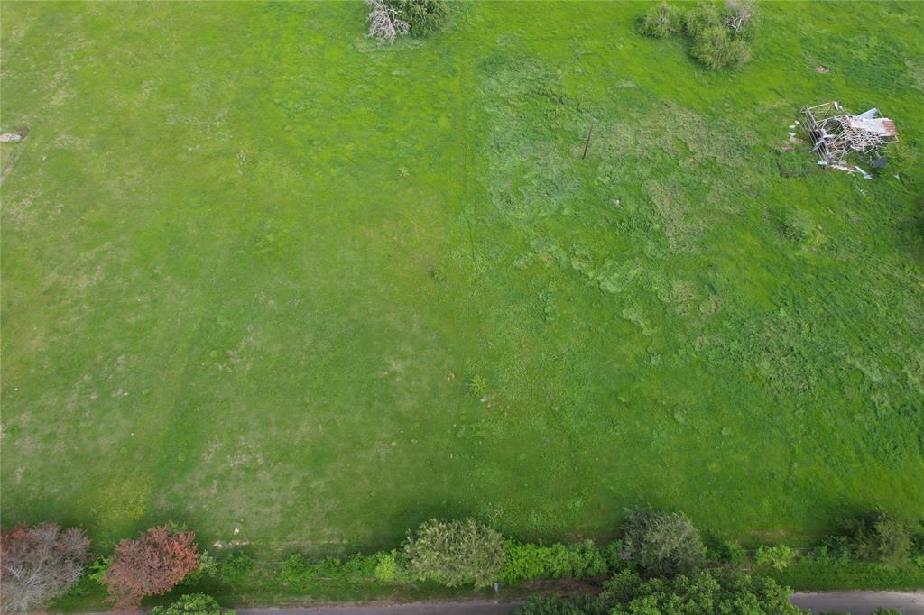 a view of a plants and small yard