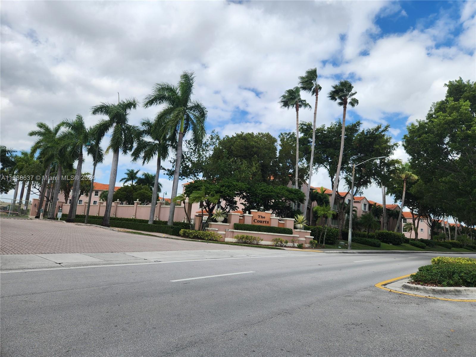 a view of street with palm trees