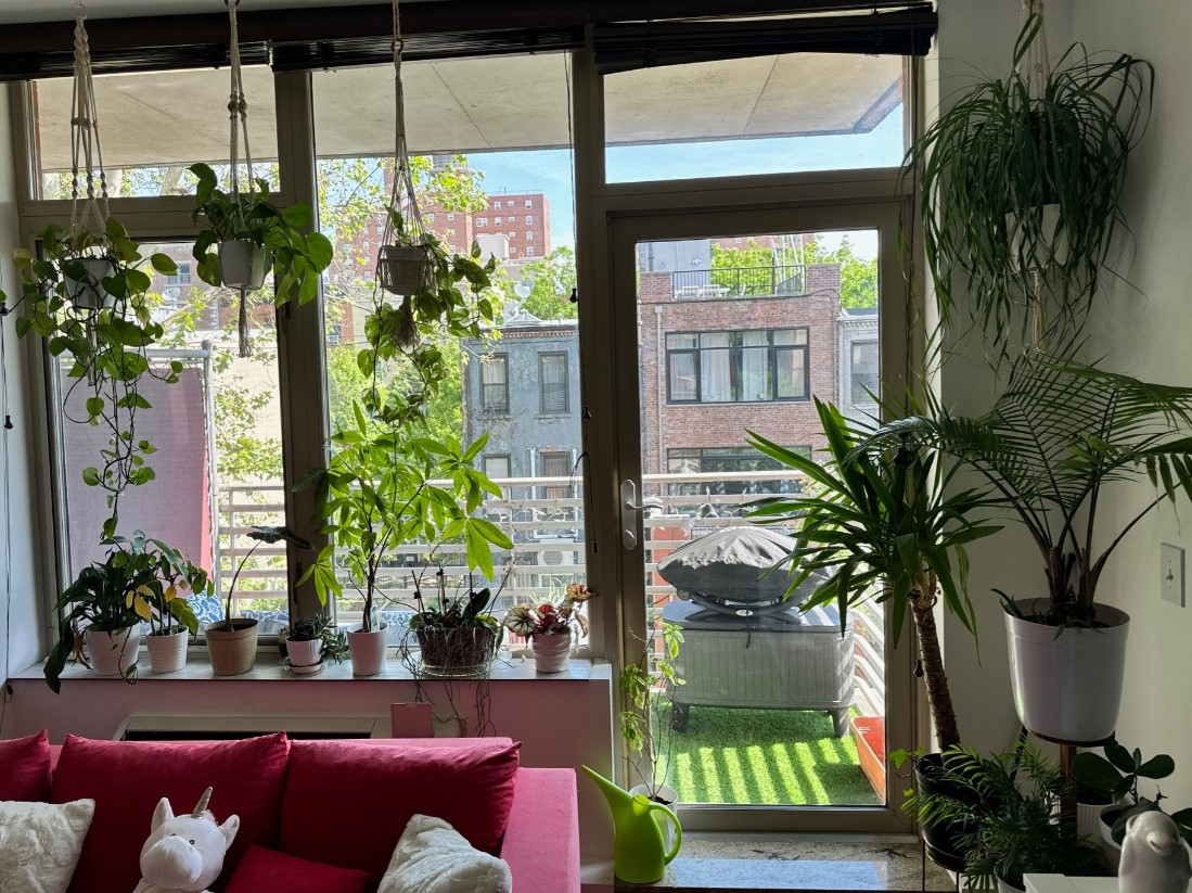 a potted plant sitting in front of a building