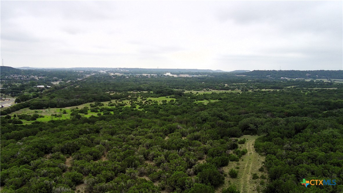 an aerial view of forest