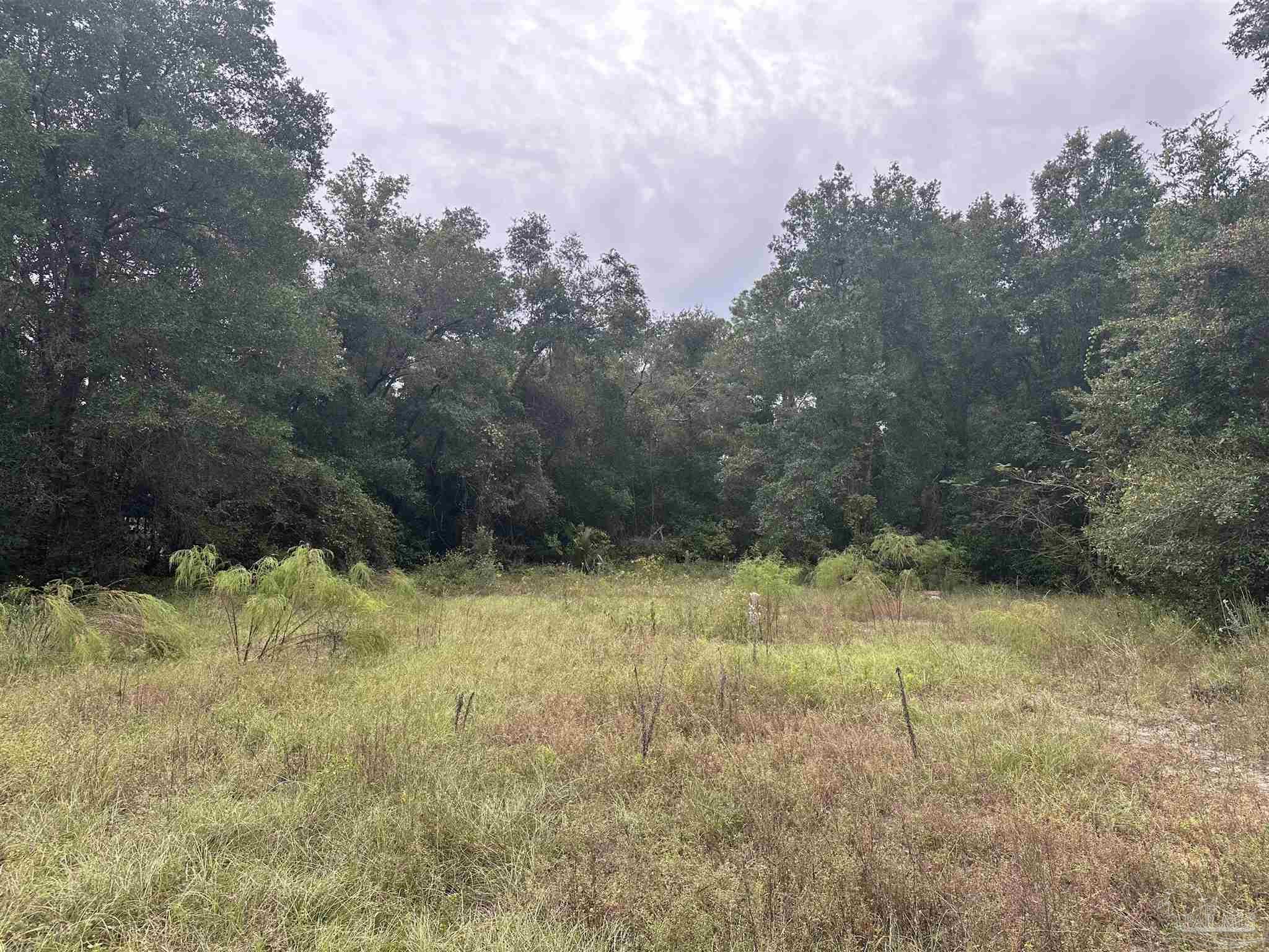 a view of a yard with a tree