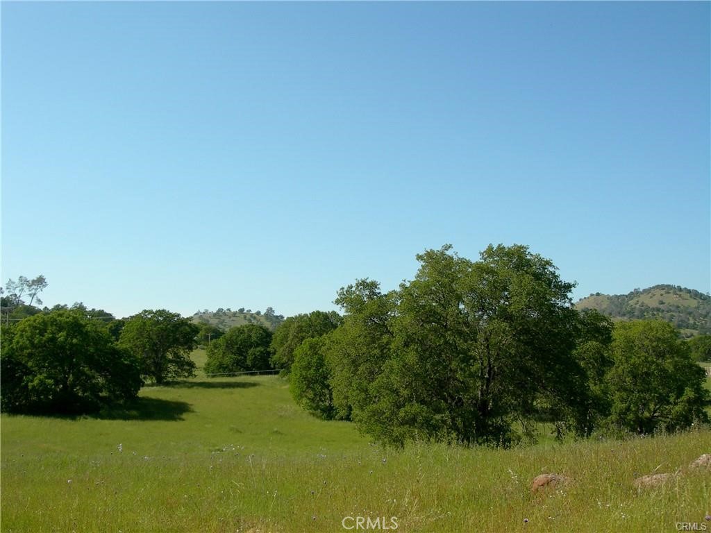 a view of a lake and green valley