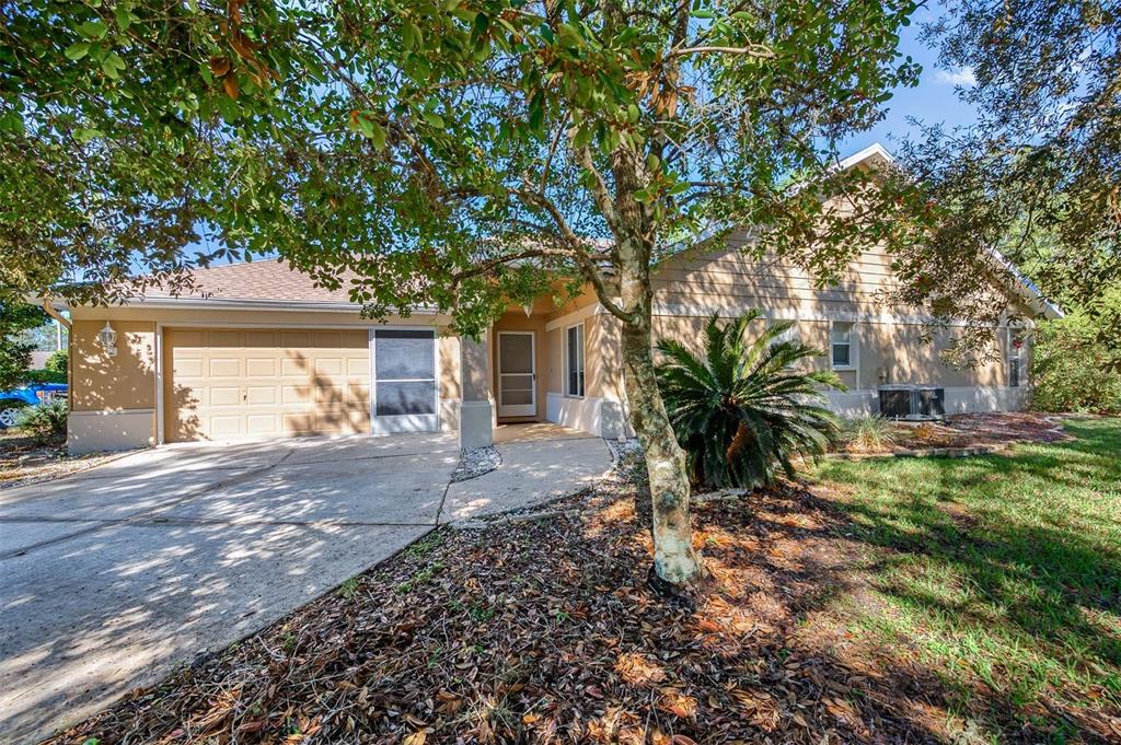 a view of a house with a yard and a tree