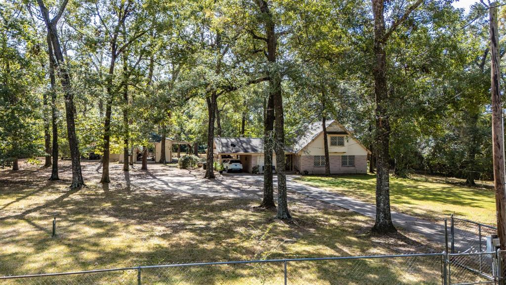 a view of a yard with tree s