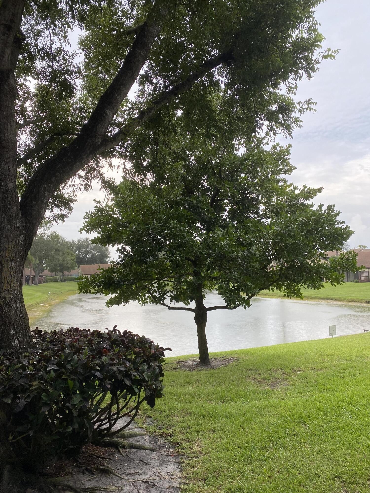 a view of lake with green space