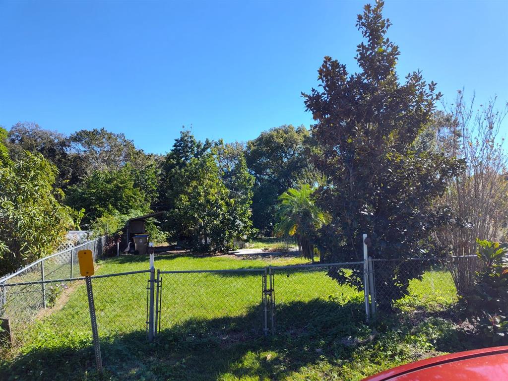 a view of a park with large trees