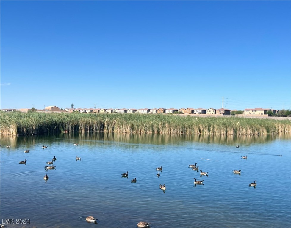 Park with lake right behind the community