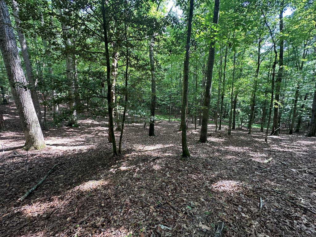 a view of outdoor space with trees