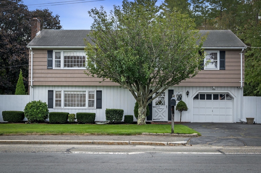 a house that has a tree in front of it