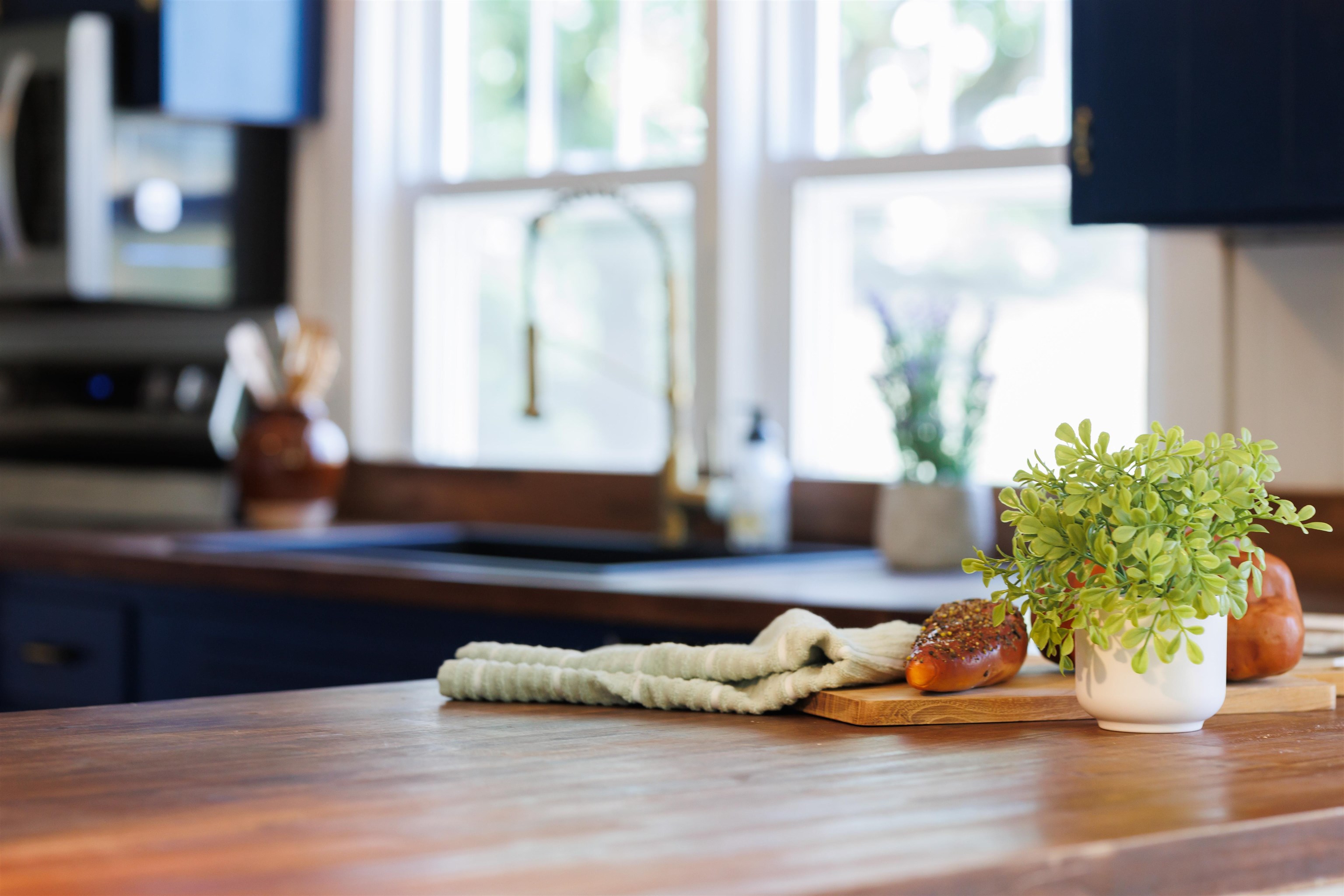 a room with wooden floor and potted plant