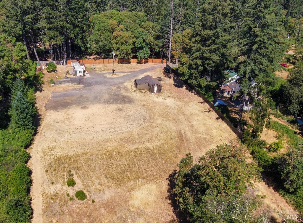 a view of a yard with trees