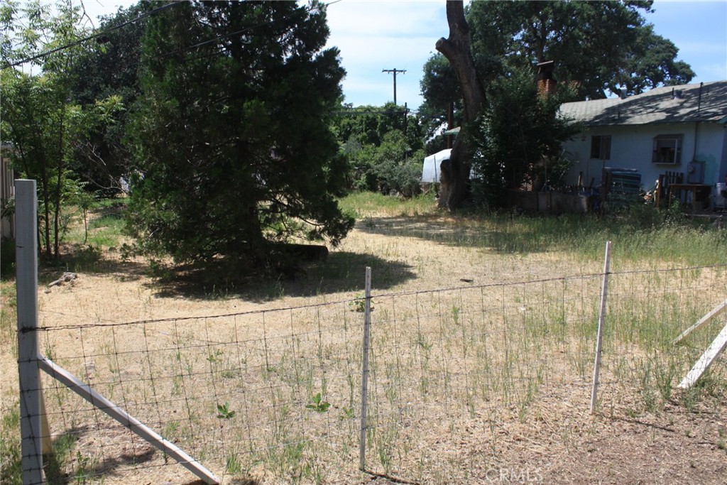 a view of backyard with plants