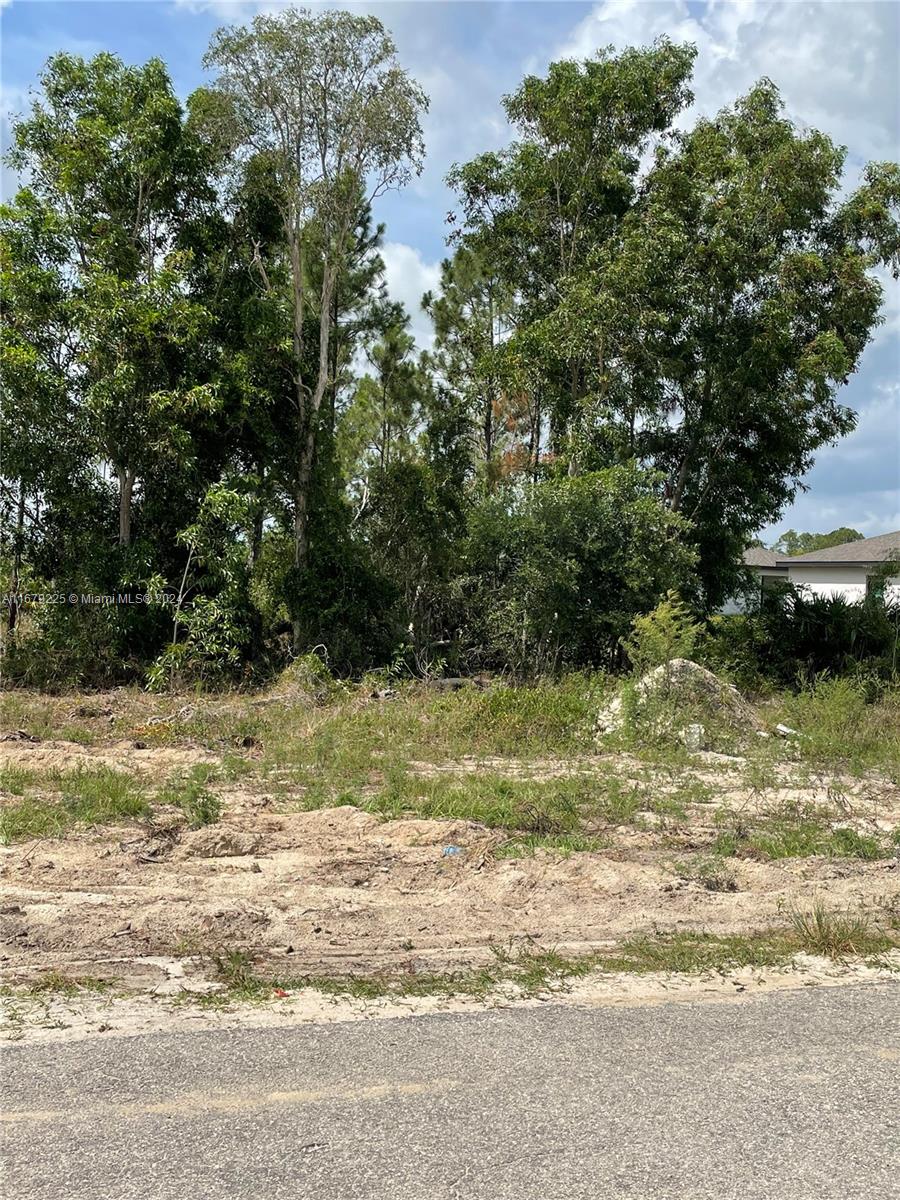 a view of a yard with a tree