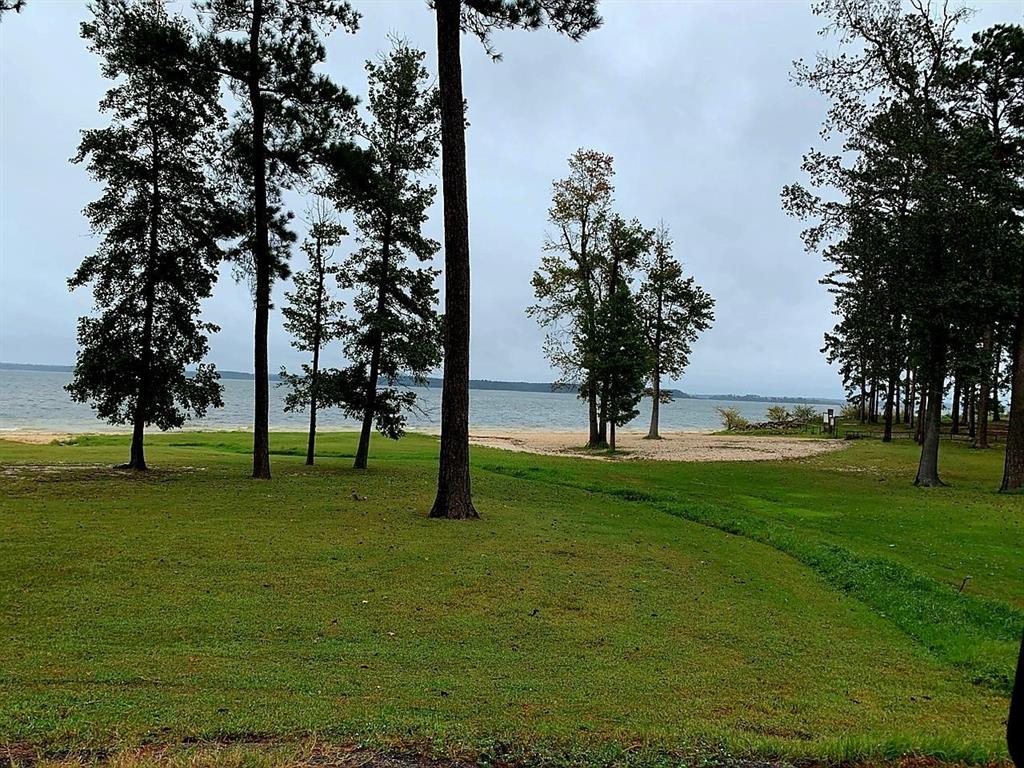 a view of field with trees