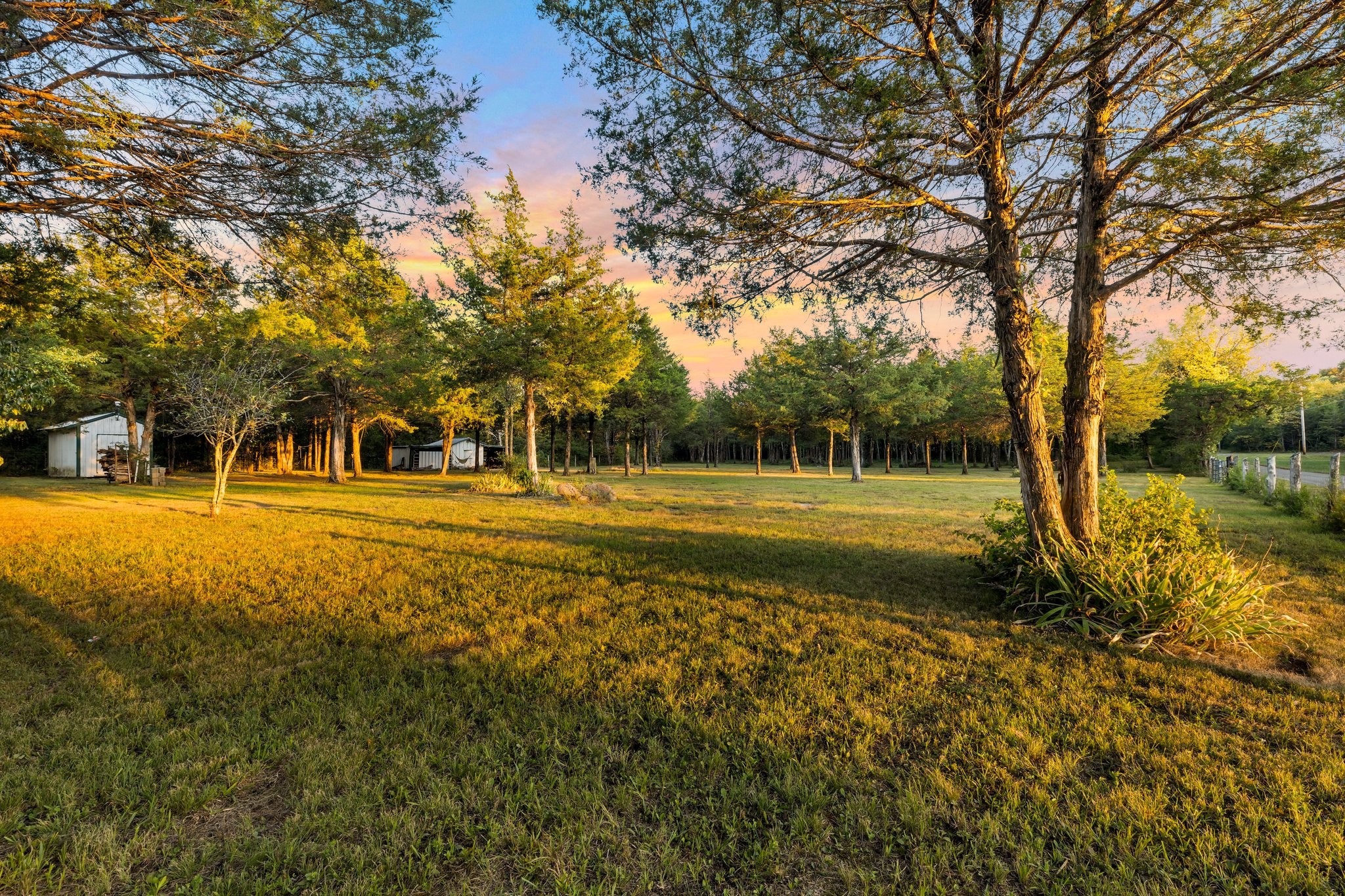 a swimming pool view with large trees