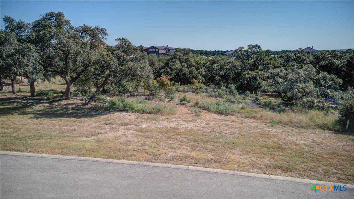 a view of a dry yard with trees in the background