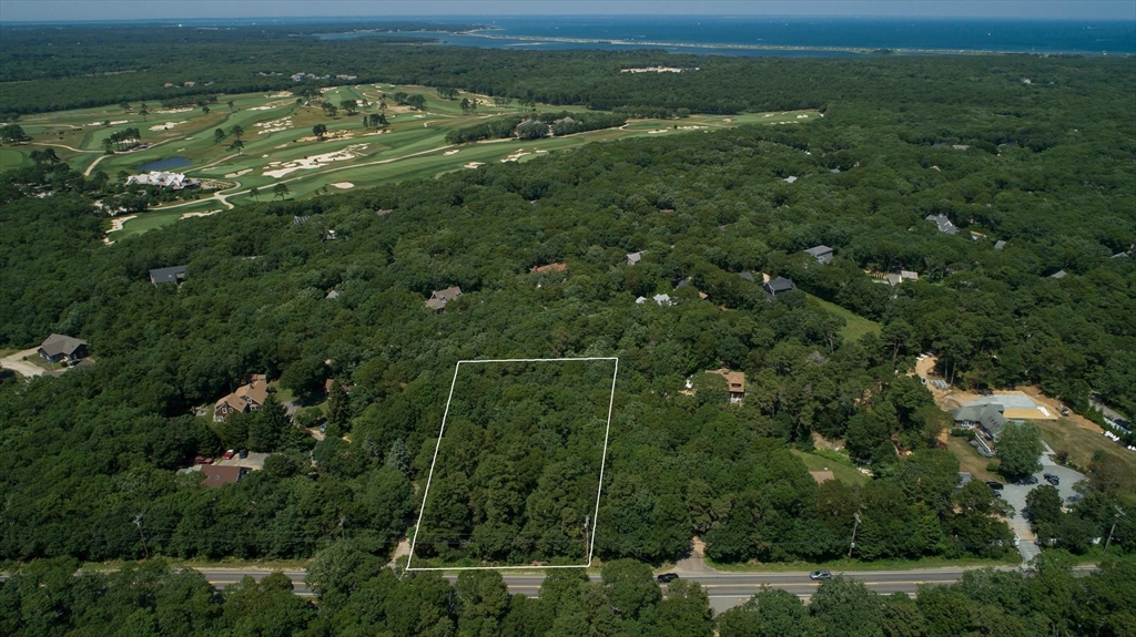 a view of a city with lush green forest