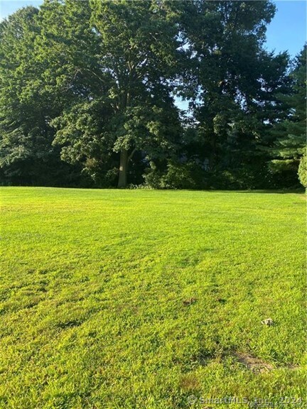 a view of an ocean from a yard