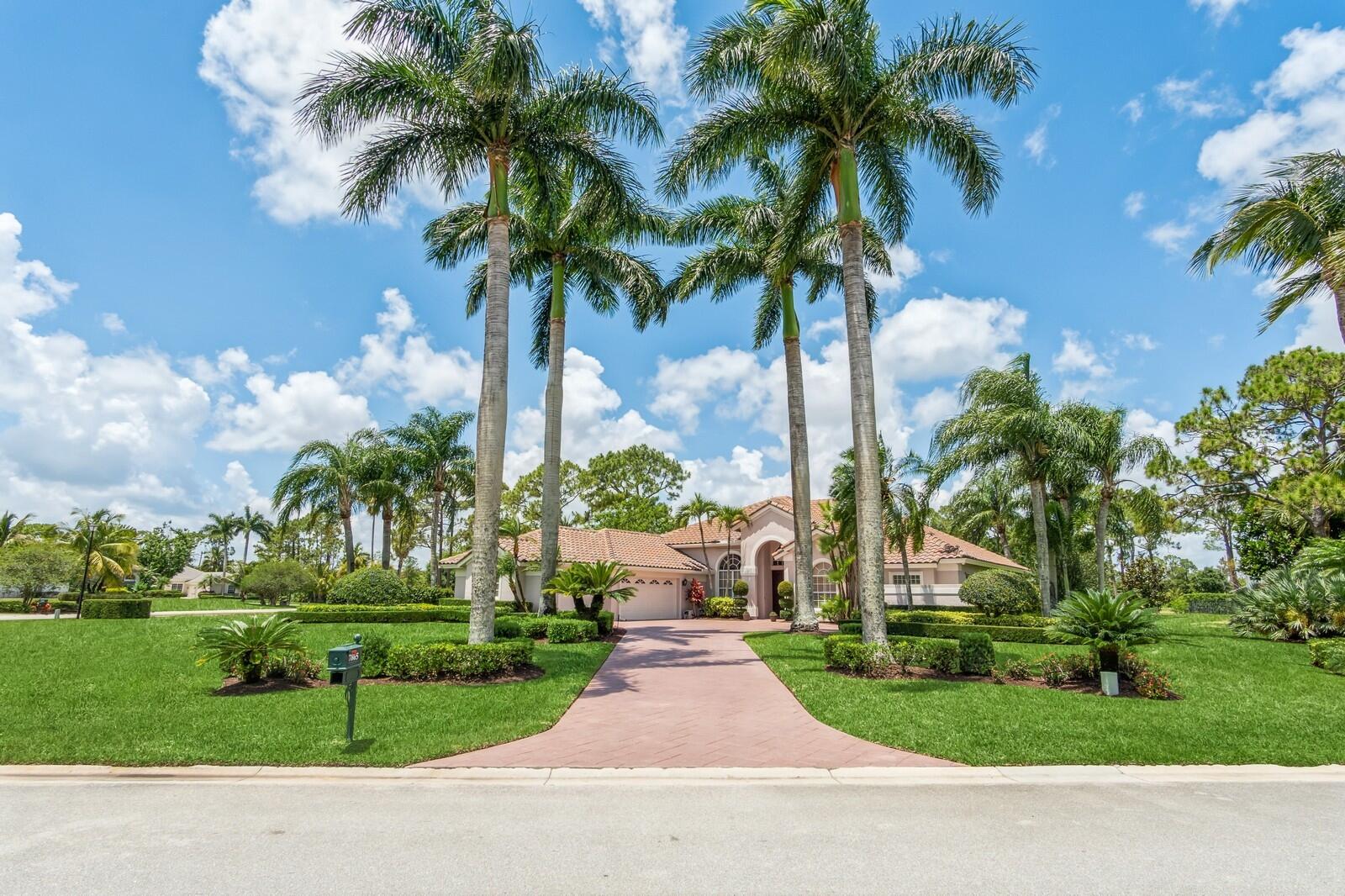 a view of a park with palm trees