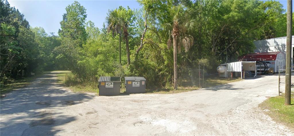 a view of a yard with large tree