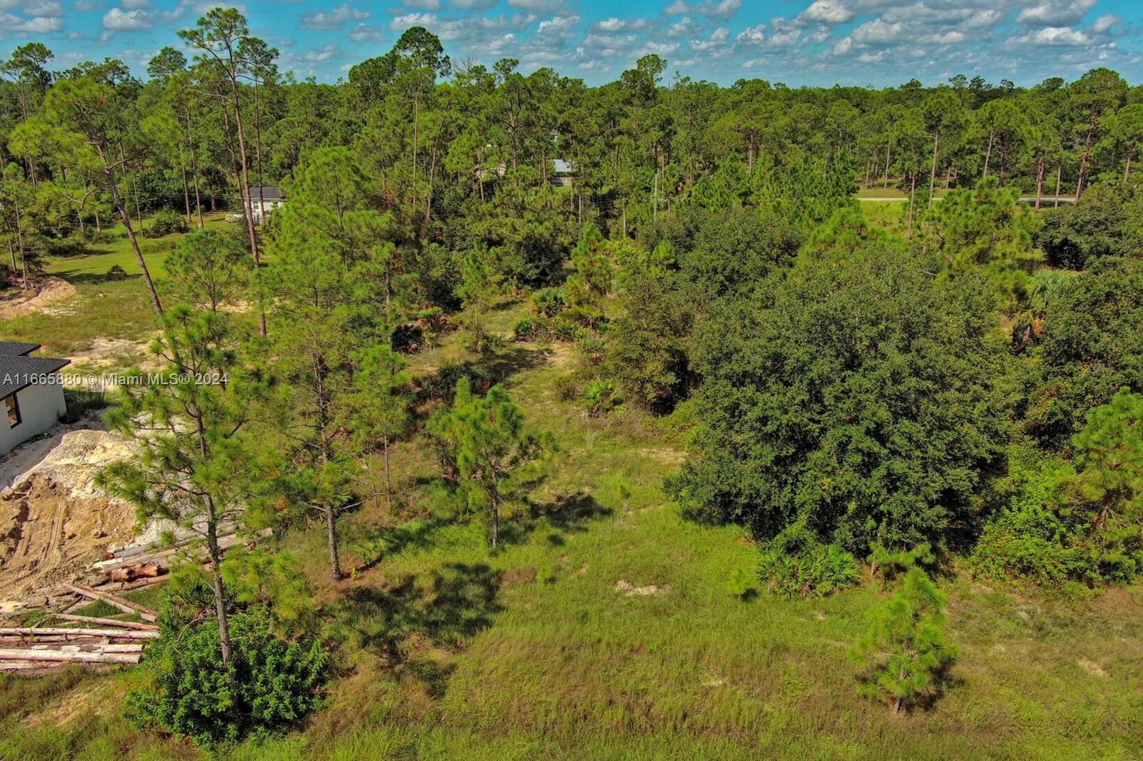 a view of a big yard with lots of bushes