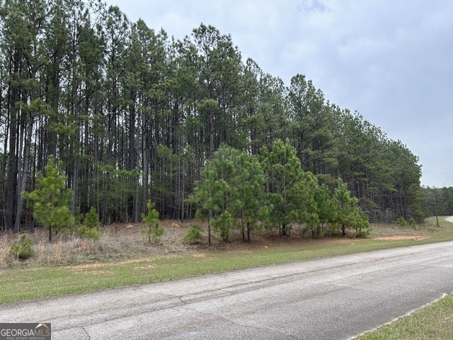 a view of a yard with large trees