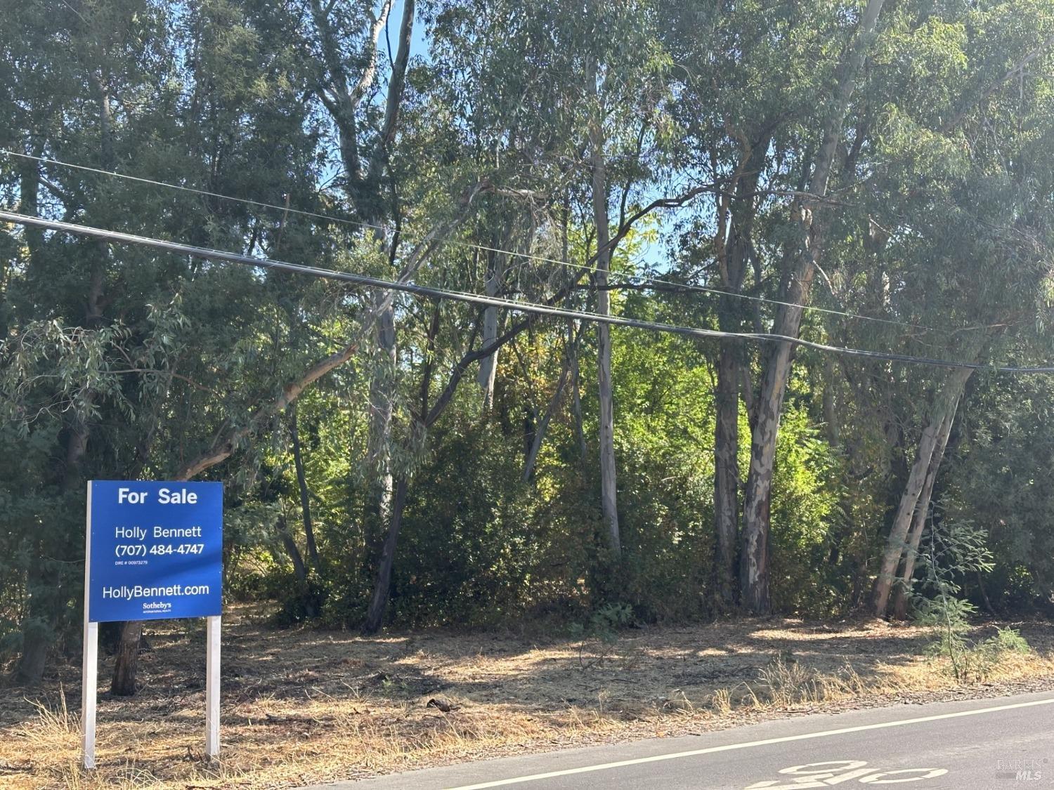 a view of a street sign under a large tree