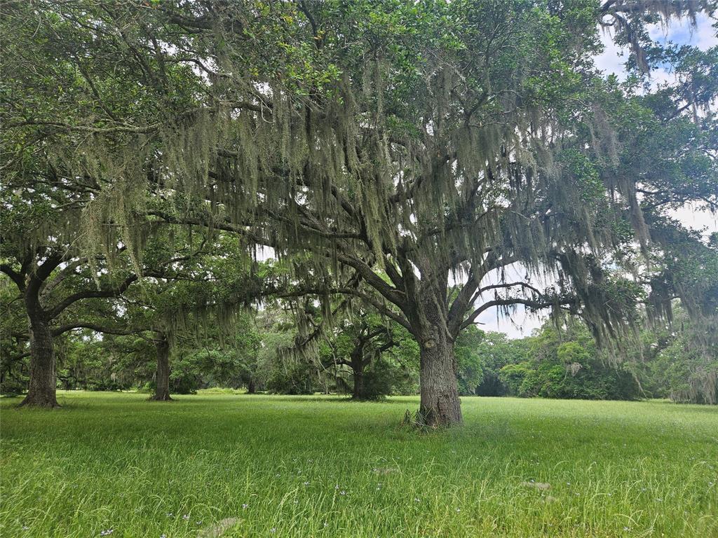 a view of backyard with green space