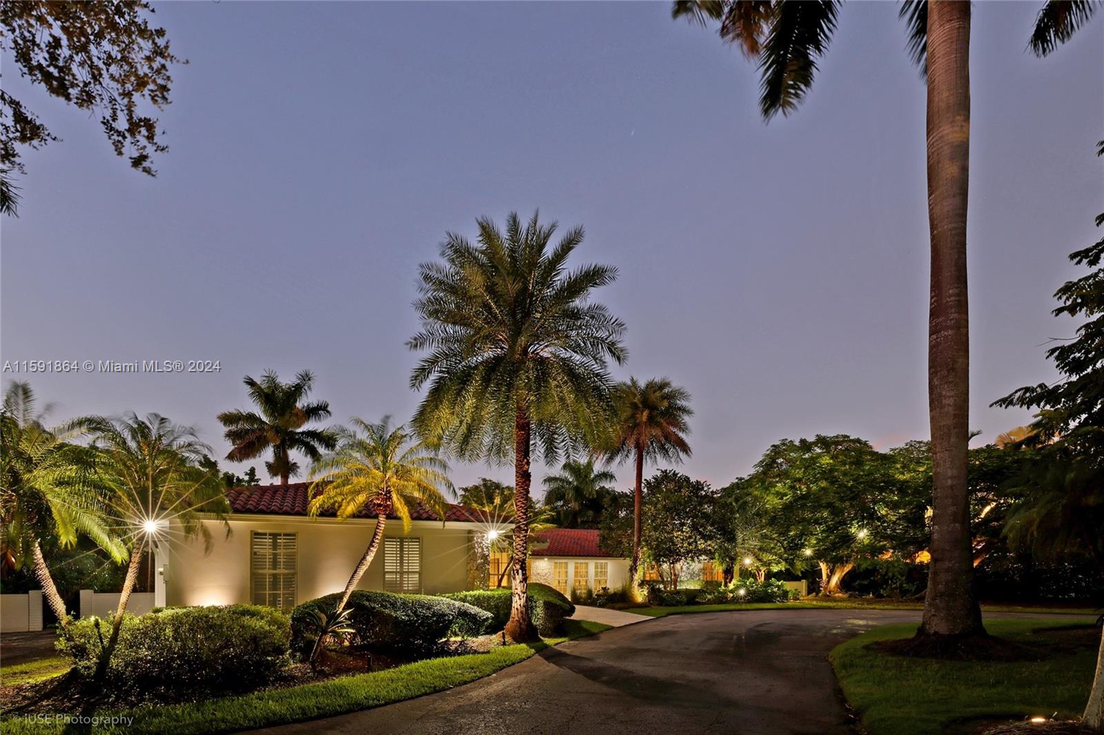 a palm tree sitting in front of a house