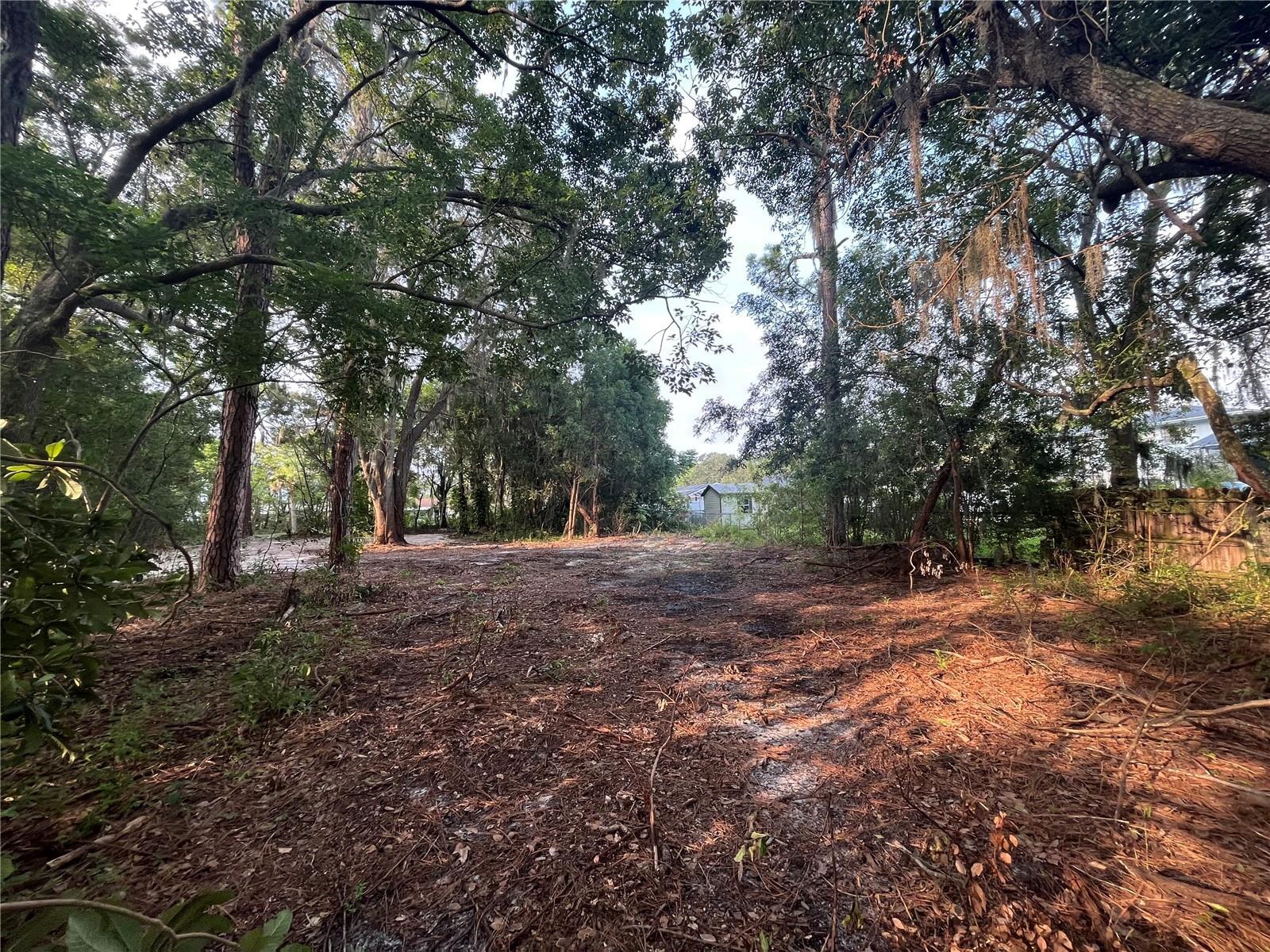 a view of outdoor space and trees