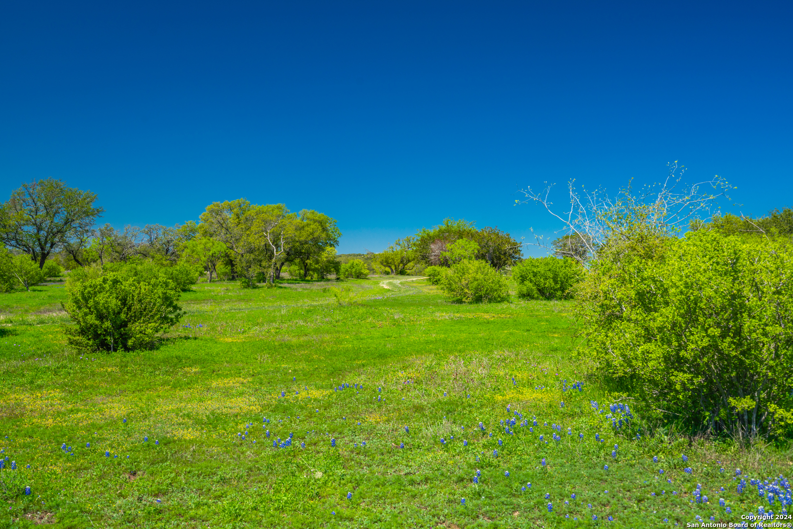 a view of a green field with lots of bushes