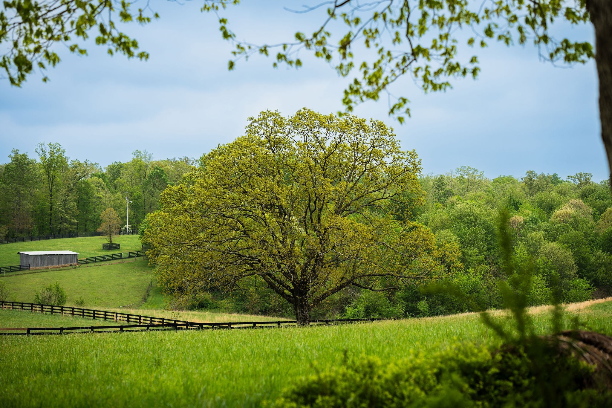 a view of lake with green space