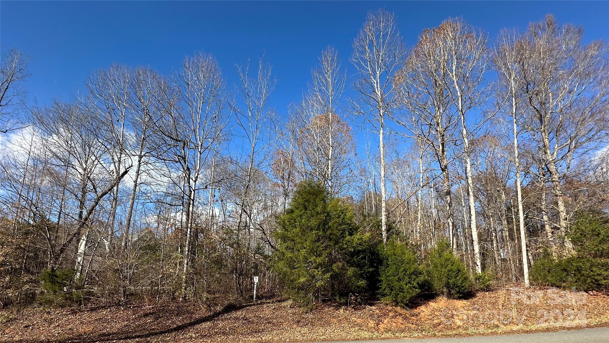 a view of a backyard of the house