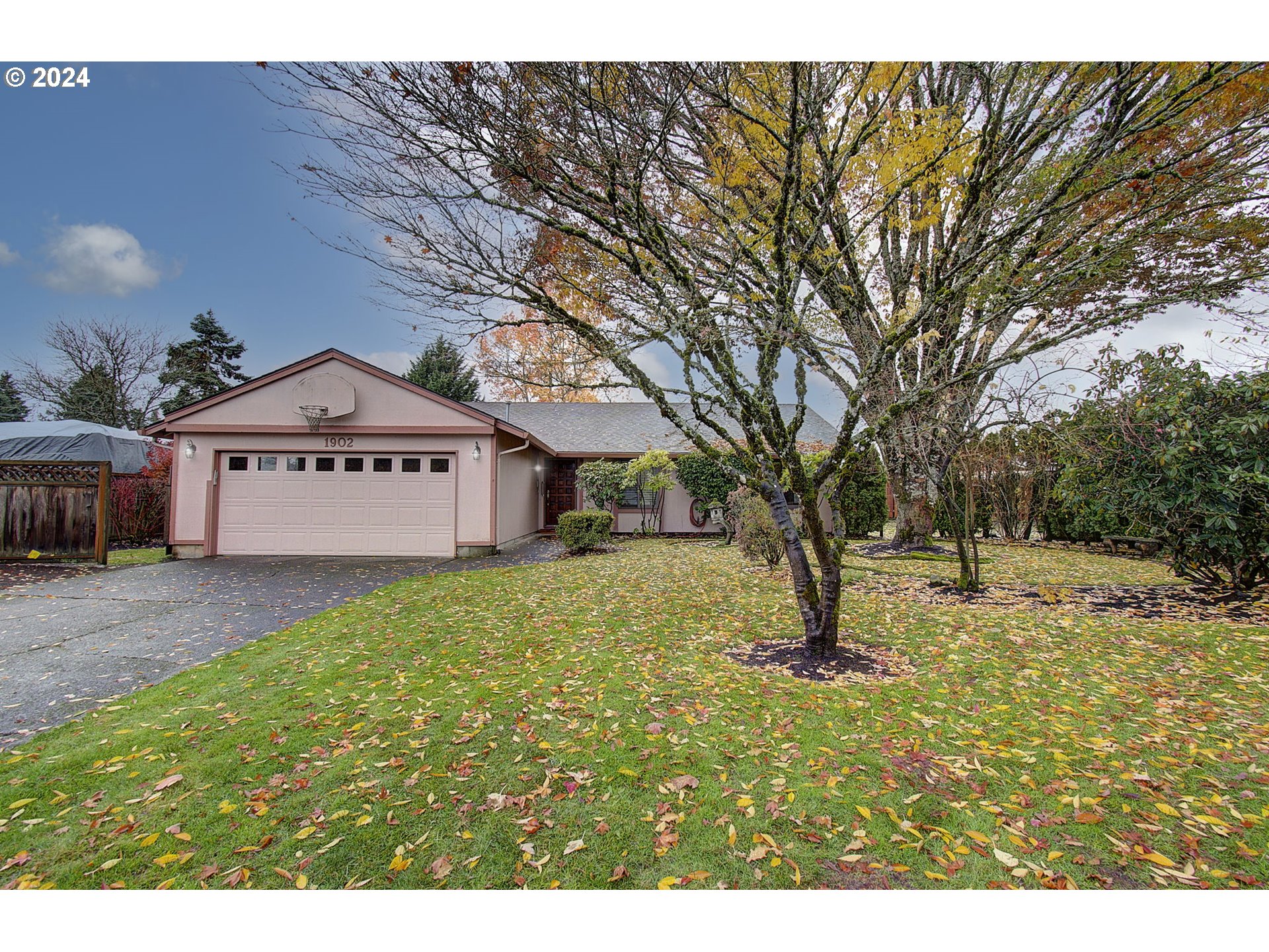 a view of a big yard with large trees