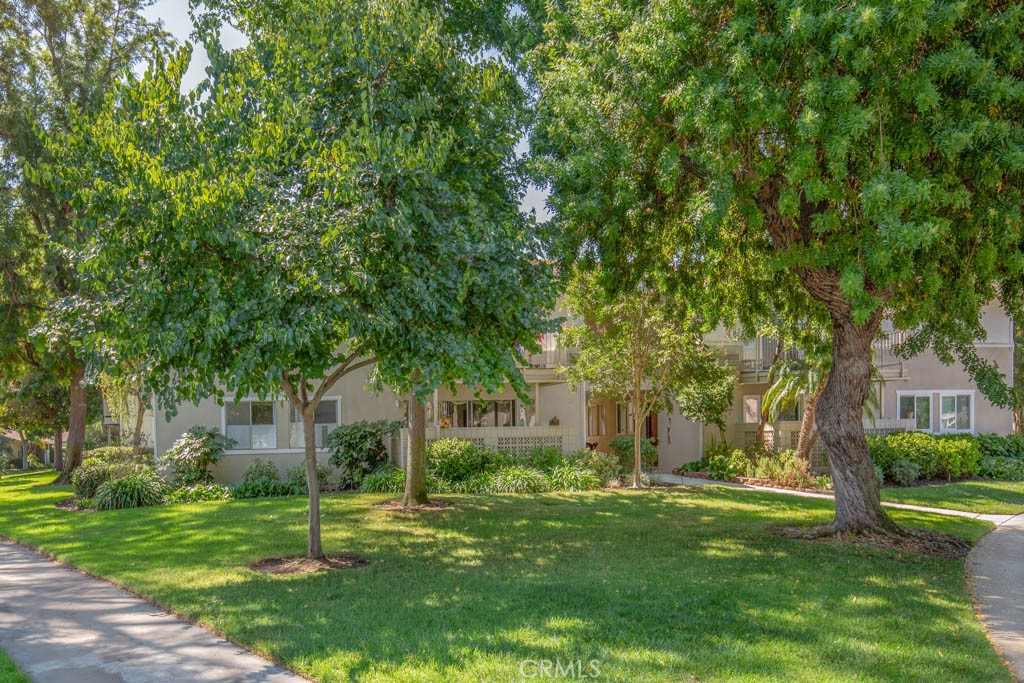 a backyard of a house with plants and large trees