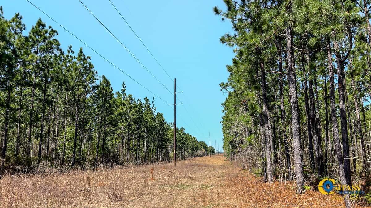 Delray Tract South Carolina-22