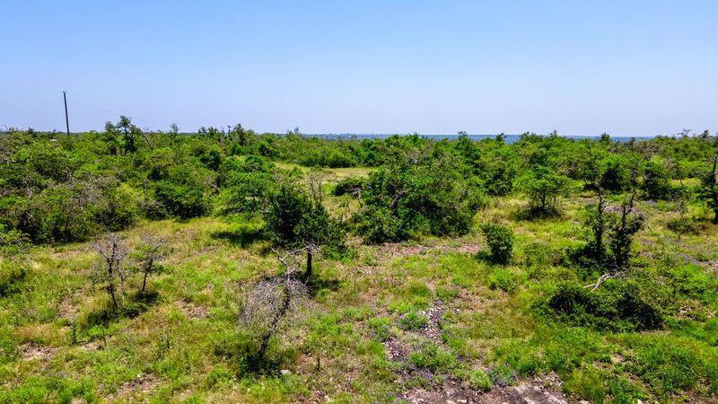 a view of a field with a tree in background