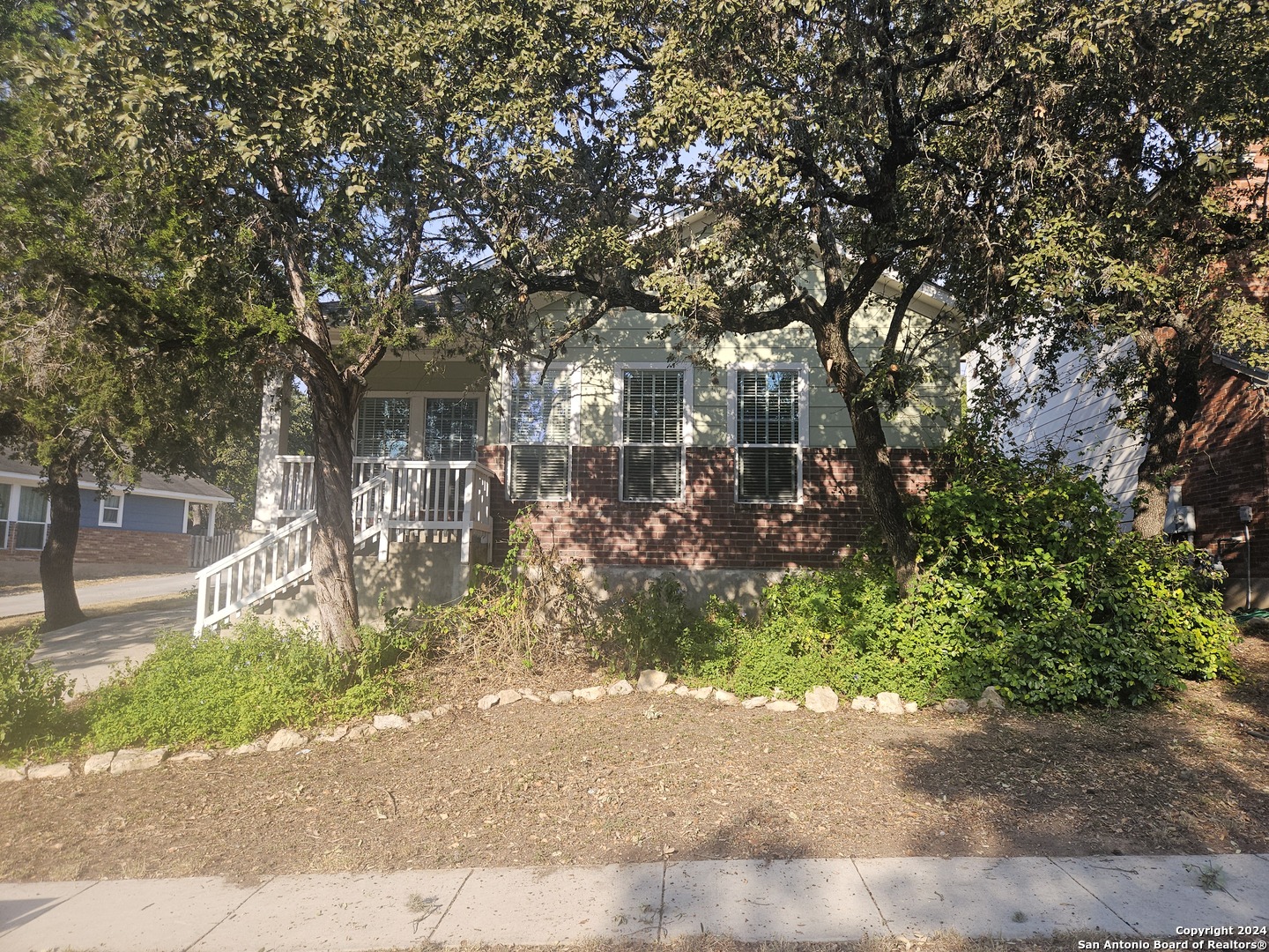 a view of a yard with plants and trees